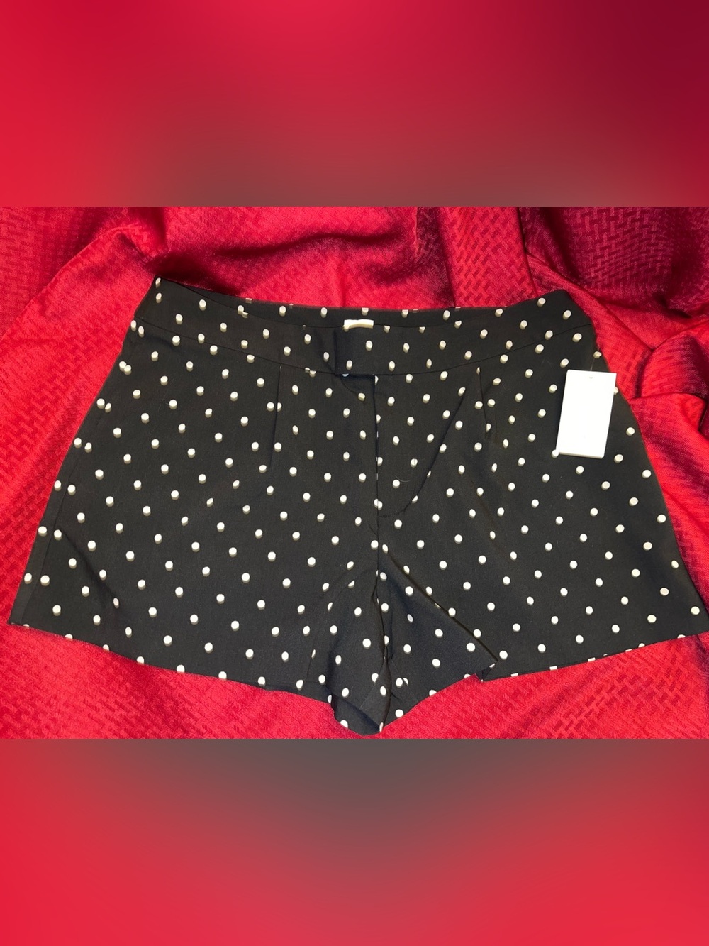 a new day Black Polka Dot Women's Shorts